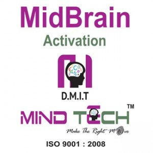 midbrain