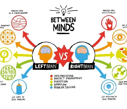 Left brain & right brain