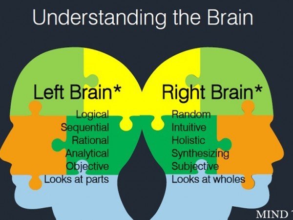 Midbrain activation- understanding the brain